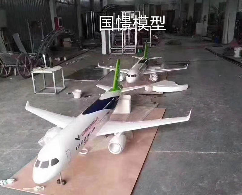 沅江市飞机模型